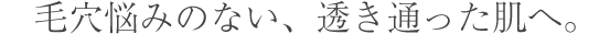 毛穴悩みのない、透き通った肌へ。