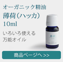薄荷10ml