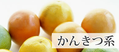 かんきつ系