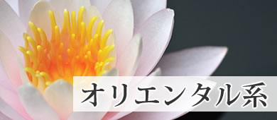 オリエンタル系