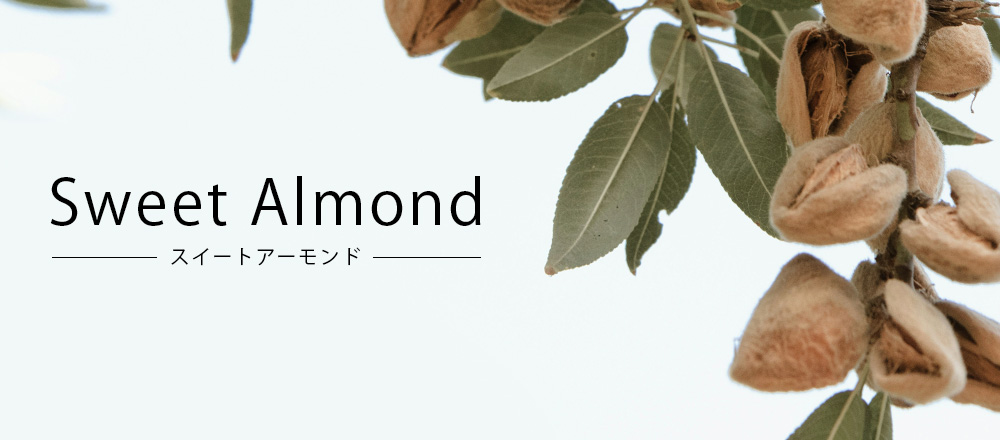 スイートアーモンド
